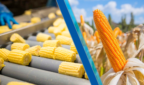 Продукти переробки кукурудзи