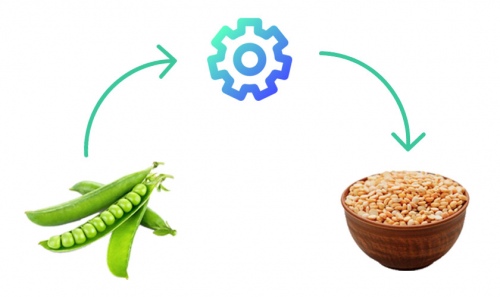 Новая линия переработки гороха в Одесской области