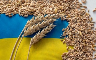 Цены на пшеницу в Украине снижаются из-за низкой активности покупателей
