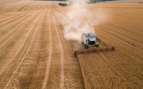 The processing industry of the European agricultural sector uses Ukrainian equipment