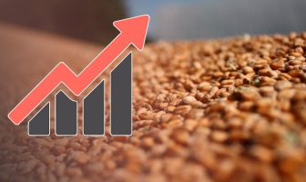 Агролидеры сезона: урожайность зерновых, масличных и других культур