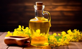 Украина - рекордсмен по экспорту рапсового масла в Европу