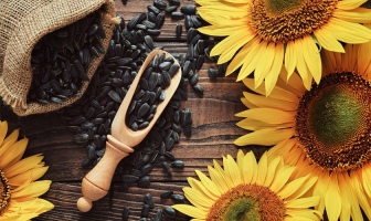 Продление экспортных пошлин в России на подсолнечник