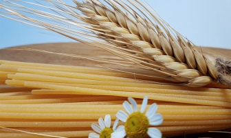 Украина на пути к отказу от импорта пшеницы дурум: 50% потребности уже закрыто