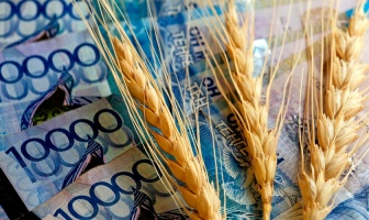 Миллиардные инвестиции в переработку зерна в Казахстане