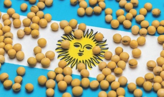 Аргентина знижує мита на експорт сої, кукурудзи та пшениці