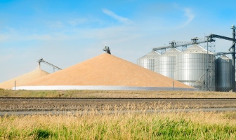 Стратегия хранения зерна: в Украине запускают программу по предоставлению модульных зернохранилищ фермерам