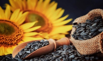 Три партії неякісного аргентинського соняшнику прибули до Болгарії