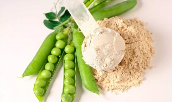 У Канаді компанія LDС відкриває новий завод з виробництва горохового білка