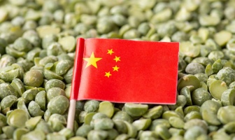 Ринок Китаю для українського гороху офіційно відкрито