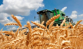 Прогнозується збільшення виробництва сільськогосподарської продукції у 2026 році