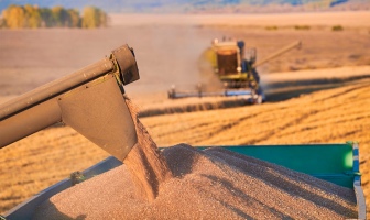В Украине продолжается уборка ранних зерновых и зернобобовых культур: уже намолочено первый миллион тонн зерна нового урожая
