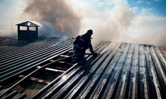В результате российских атак в Украине повреждено более 300 животноводческих хозяйств и птицеферм