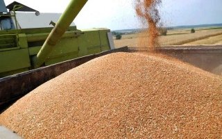 Контроль за происхождением зерна в странах Балтии ужесточается