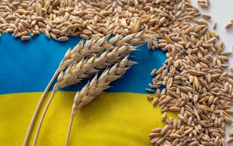 ціни на пшеницю