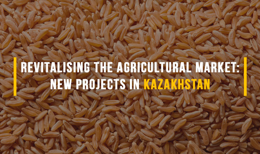 agricultural market of Kazakhstan