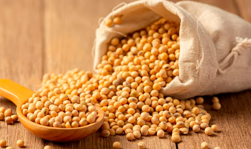 біоклей з гороху