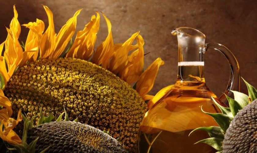 цены на подсолнечное масло