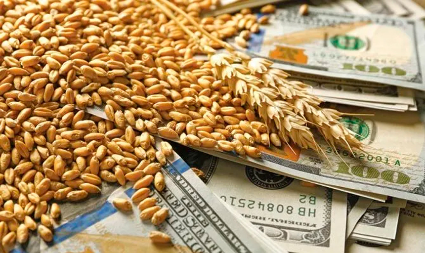 цена на пшеницу