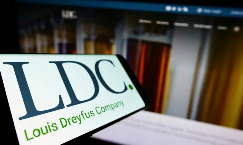 линия дробления семян