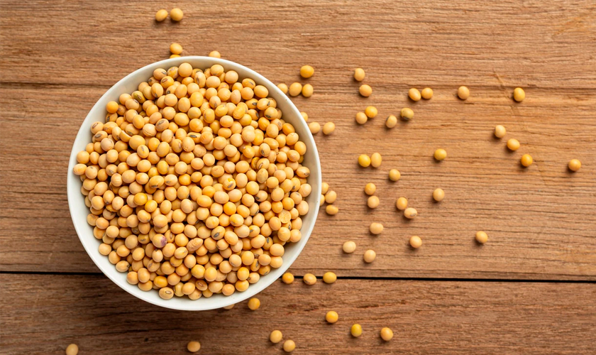 пошлины на сою