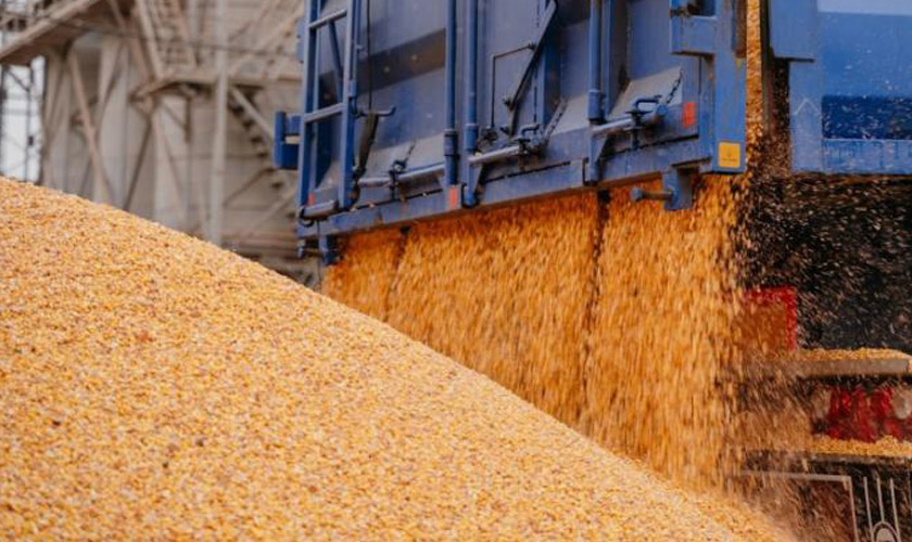 перевезення зерна