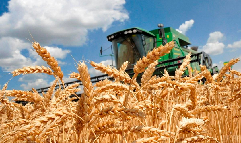 объём производства сельскохозяйственной продукции