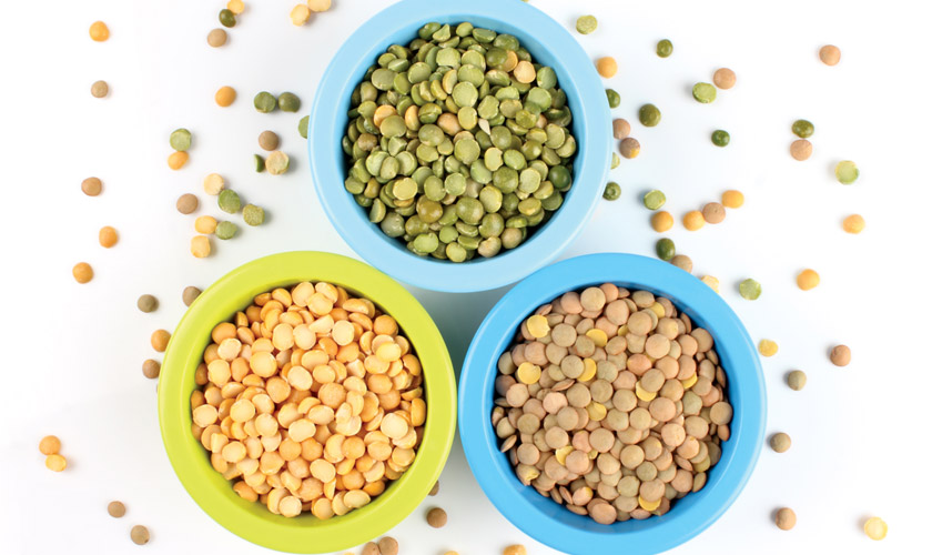 виробництво сочевиці