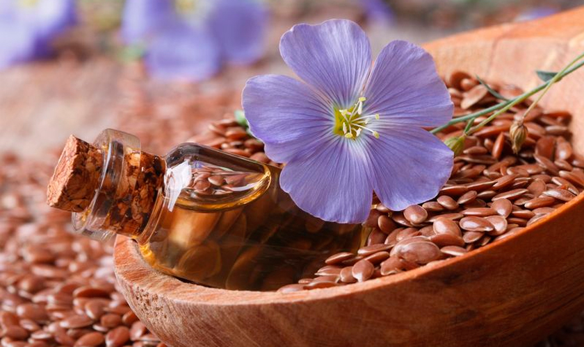 переработка семян льна