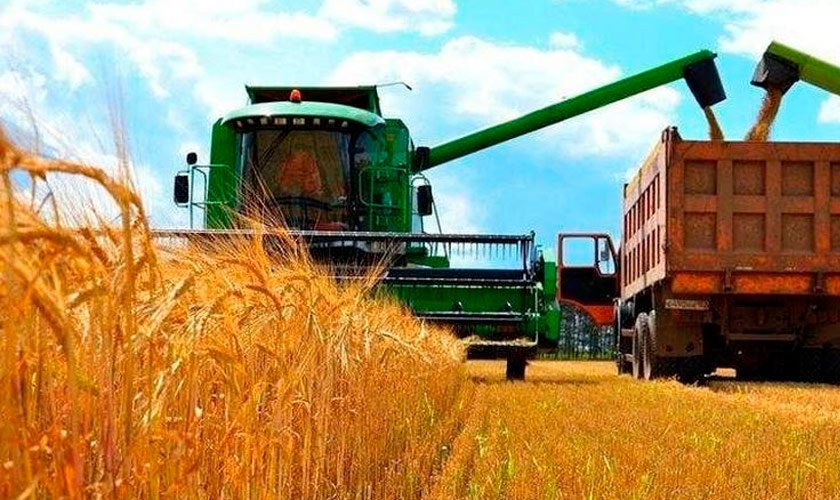 уборка ранних зерновых