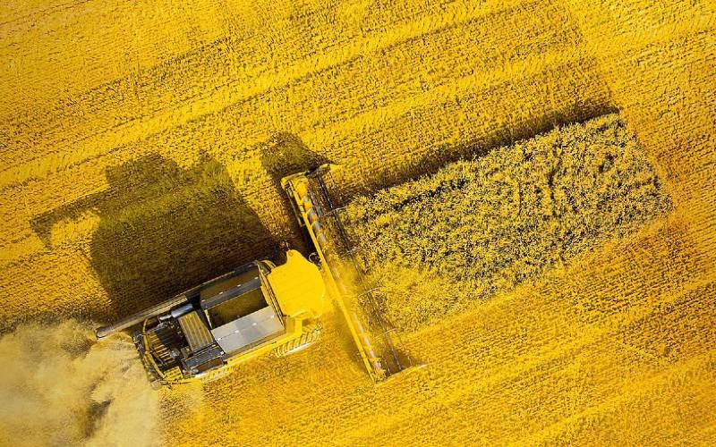 AgroFoodSummit